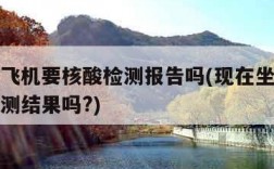 现在坐飞机要核酸检测报告吗(现在坐飞机要核酸检测结果吗?)